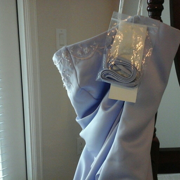 David Bridal - Formal Dresses - Picture 5 of 8